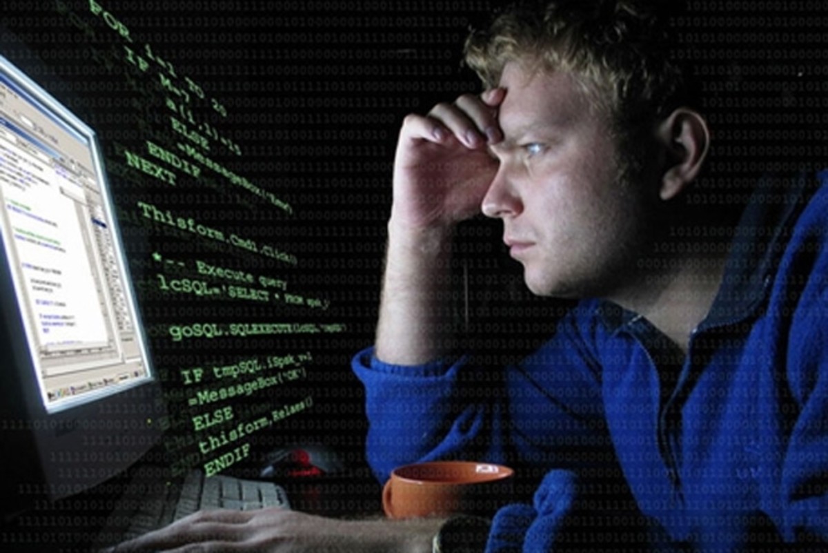 Диплом программиста Диплом программиста